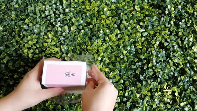 Unboxing perfume Lacoste L12 Sparkling смотреть онлайн