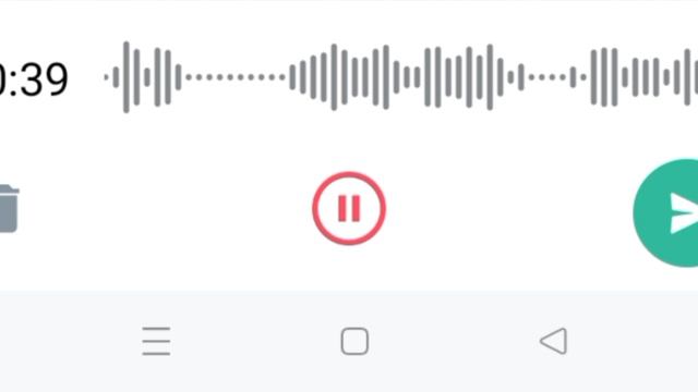Как вы хотите видеть мои ролики?