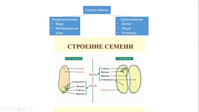 Урок №17 "Семя" смотреть онлайн
