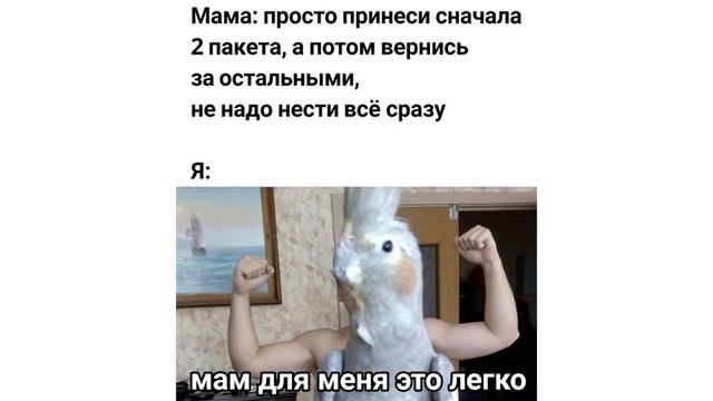 ПРИКОЛЫ С ПОПУГАЯМИ | Мемозг #308 смотреть онлайн