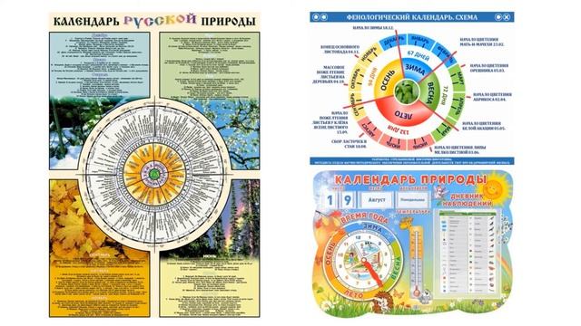 Фенологический календарь дошкольника смотреть онлайн