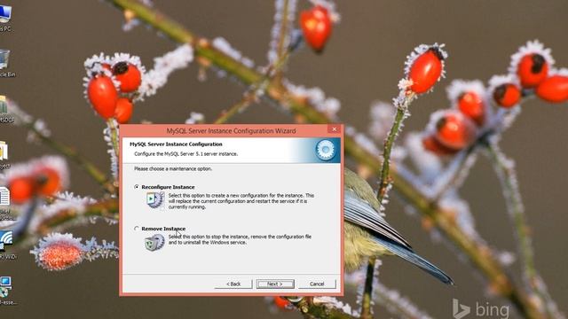 Introduction to Mysql : Installing mysql on your system смотреть онлайн