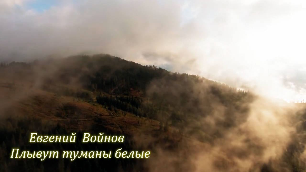 ПЛЫВУТ ТУМАНЫ БЕЛЫЕ - Евгений Войнов смотреть онлайн