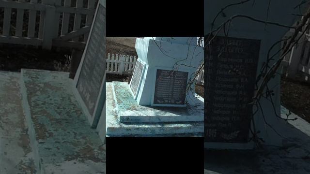 11 погибших мужчин с одной семьи!Обелиск героям ВОВ в исчезнувшем селе.Shorts смотреть онлайн