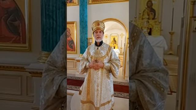 Воскресная проповедь Неделя о блудном сыне смотреть онлайн