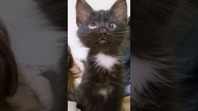 мои любимые