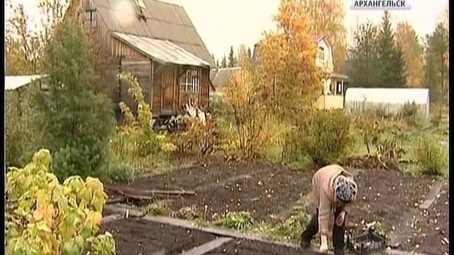 18 сентября дачники Архангельска смогут добраться до избирательных участков бесплатно смотреть онлайн