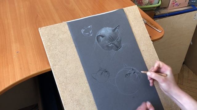 Наброски домашних животных Кошки смотреть онлайн