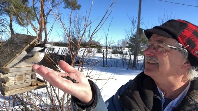 BIRD WHISPERER shows How To GET BIRDS to EAT OUT OF YOUR HAND!!! смотреть онлайн