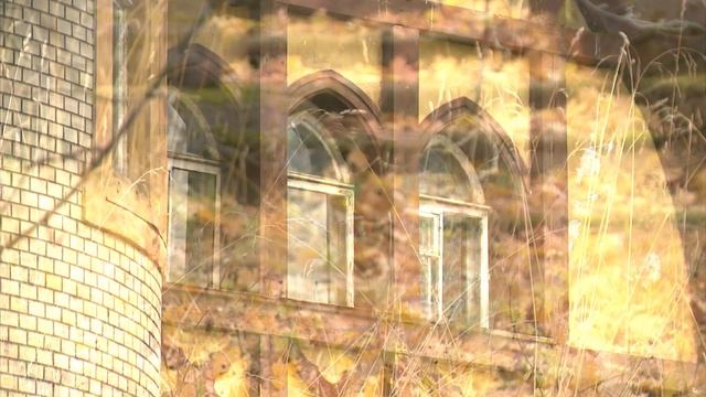 "Киношный Петербург"