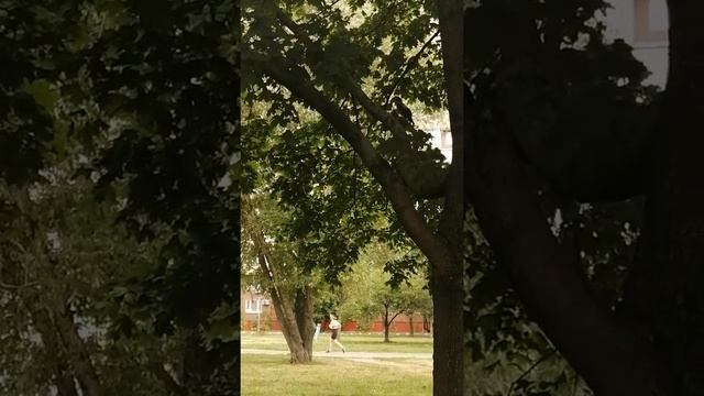 У вороненка ломается голос \ Crow fledgling's voice is breaking смотреть онлайн