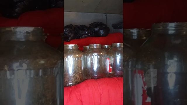 табак после ферментации на печи смотреть онлайн