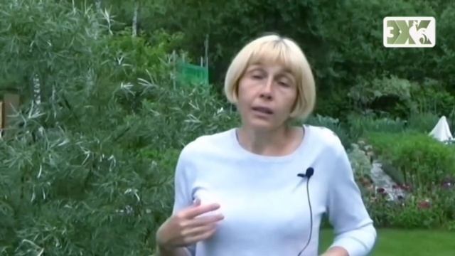 ЖИМОЛОСТЬ - ЛУЧШИЕ СОВЕТЫ смотреть онлайн