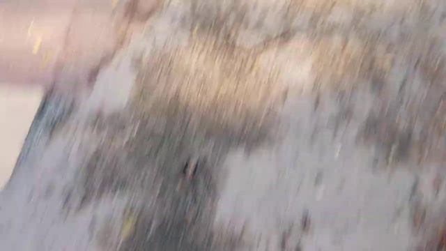 Roses from the Dumpster! DUMPSTER DIVING смотреть онлайн