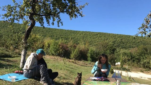 EcoCamp | Осень в горном Крыму | Бельбекская долина смотреть онлайн