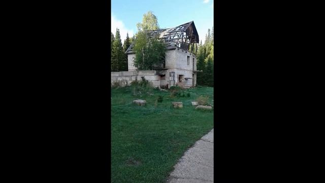 Собаки. История одинокого дома.