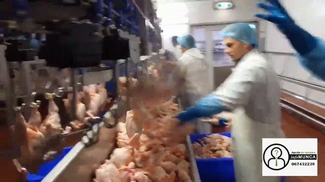 Prelucrarea carnii (Polonia) смотреть онлайн