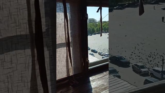 пр.Суворова 25  ,Дом Москвина