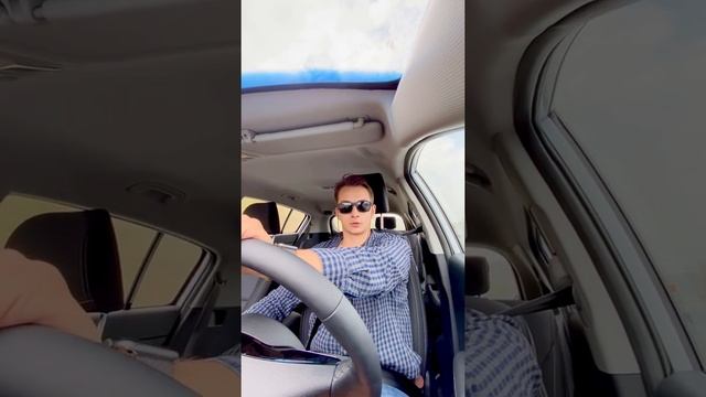 Как Приучить Собаку К Автомобилю. Правила смотреть онлайн