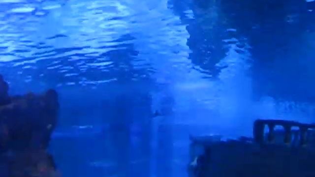 Анталия-Аквариум