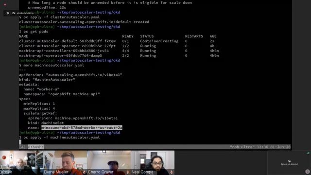 OKD4 Live AMA Session with OKD-WG Co-Chairs and Technical Leads смотреть онлайн