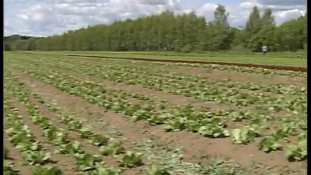 "Веселый агроном" смотреть онлайн