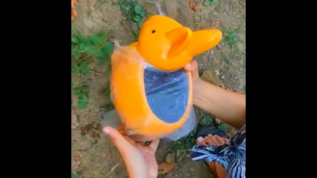 How to grow kiwi from the fruit seeds | KIWI in your garden | step by step | easy to grow |deliciou смотреть онлайн