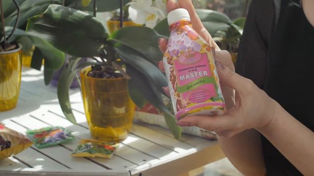 Правильный уход за орхидеями смотреть онлайн