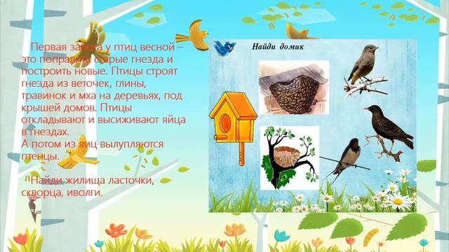 Как птицы весну встречают смотреть онлайн