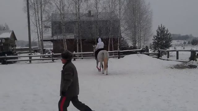 Река Чаек лошадка.mp4 смотреть онлайн