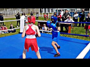 Соревнования по боксу | Женский бокс | Новичок против Участницы Первенство России