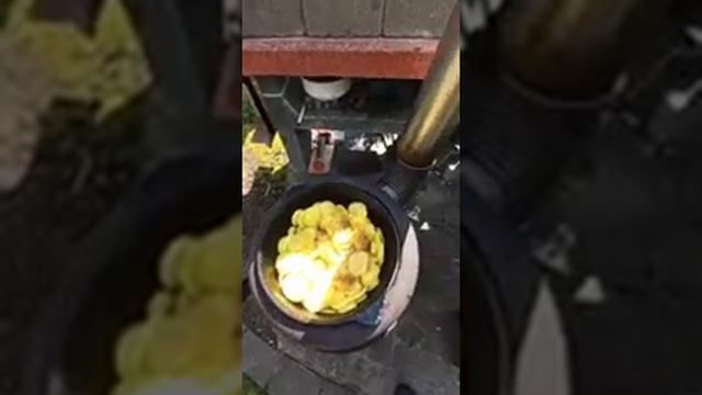 Картошка с грибами тушёные в сметане, без лука. Kartoffeln Und Champignons Im Schmand, Ohne Zwiebel