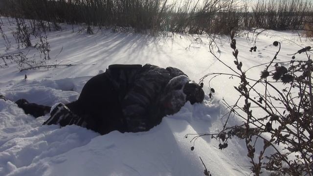 Что будет если нырнуть головой в снег )( Челлендж от подписчика смотреть онлайн