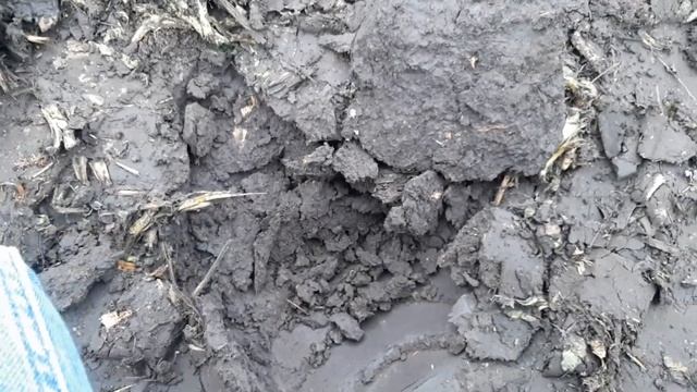 Ось і срібло. Пошук артефактів та старовини. Пошук з металошукачем. Nokta makro. Коп монет 2022 смотреть онлайн