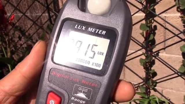 Best Shade Cloth to Reduce Temperature of Plants for Your Vegetable Garden смотреть онлайн