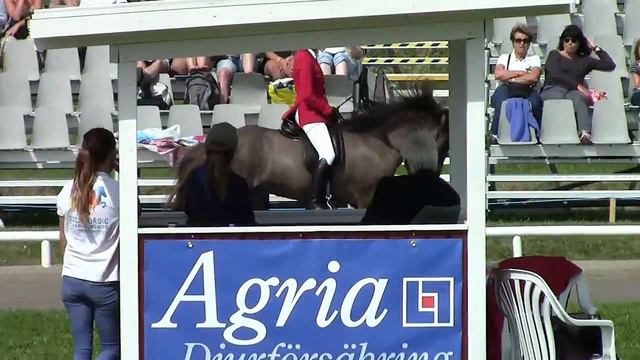 Ida-marie Ulbæk & Porgunn frá Feti - NC 2012 смотреть онлайн