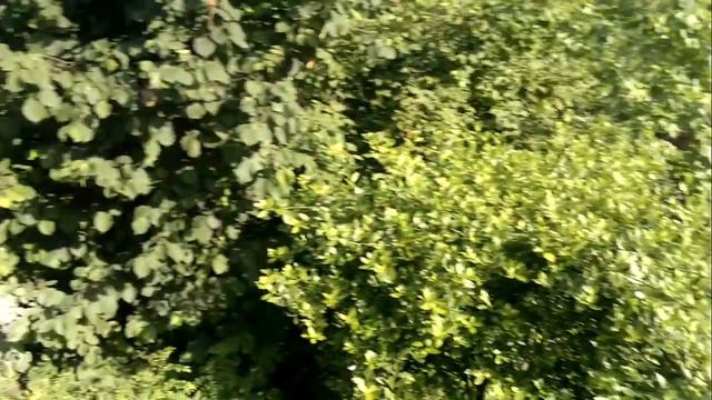 Природа смотреть онлайн