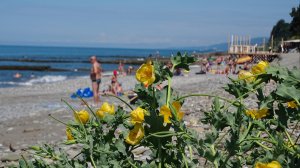 Пляж в Волконка. Лазаревский район города Сочи.