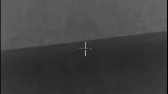 Hog pulsar trail lrf xp50 смотреть онлайн