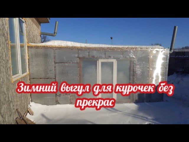 Утро и день на зимнем выгуле для курочек без прекрас. смотреть онлайн