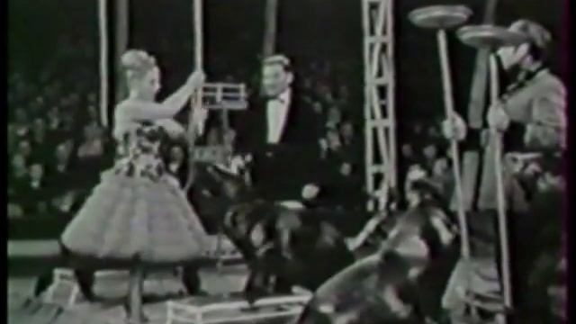 "Морские львы и купальщицы" смотреть онлайн