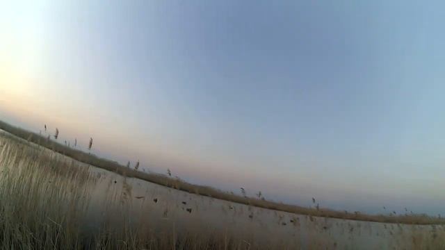 Охота на уток И снова с Пашей! Май 2021г смотреть онлайн