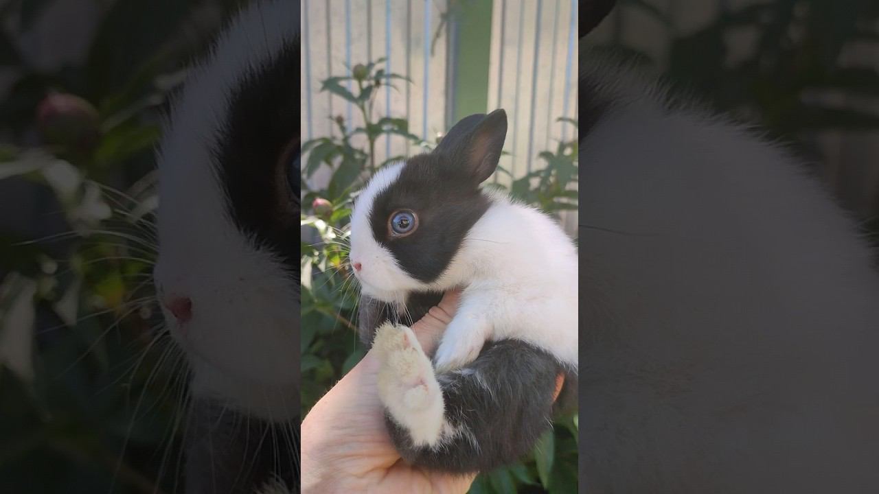 Уникальный парень с разными глазами ❤️ смотреть онлайн