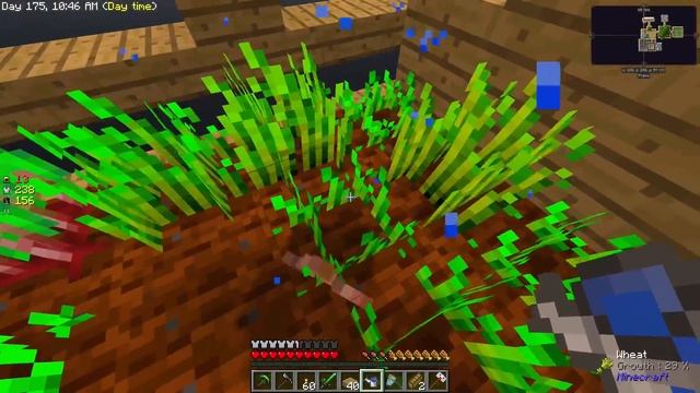 SC Plays: Sky Factory 3 - EP05: "Crazy Chickens" [HD] смотреть онлайн