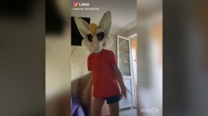 Видео про фурри из лайка