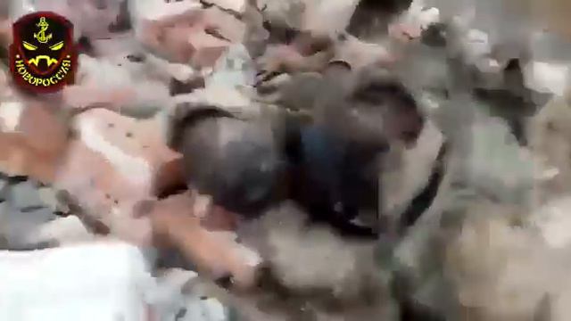 27 января 2023 г.