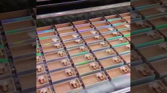 25mm lashes 5d lashes eyelash box смотреть онлайн