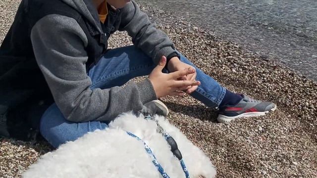 Черногория 2021, 29 марта. Сутоморе. смотреть онлайн