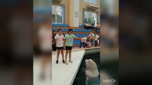 НЕДЕЛЯ В Санаторий Дубрава ( г. Железноводск)