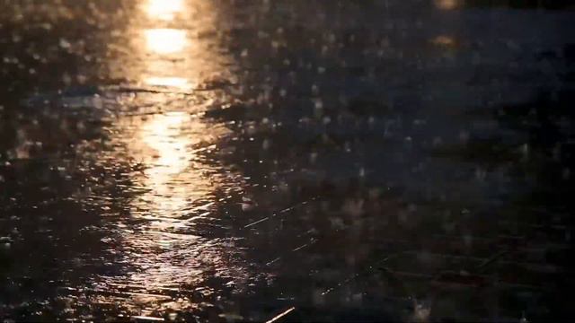 Why Do Worms Come Out When it Rains (onto the Concrete Pavement) смотреть онлайн